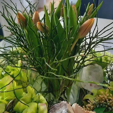 아파트 Viktoria Deluxe Direkter Meerblick *